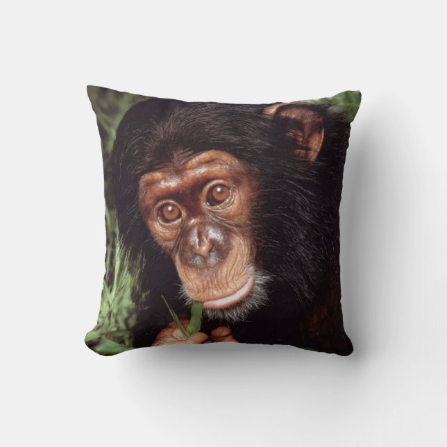 Chimpansee Kissen (Vorderseite)