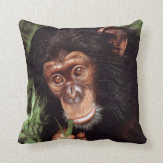 Chimpansee Kissen