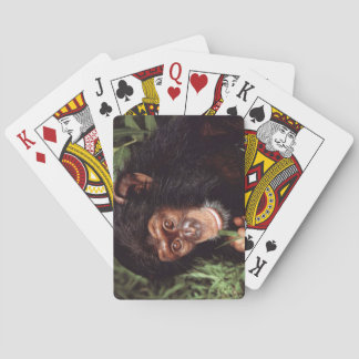 Chimpansee Spielkarten
