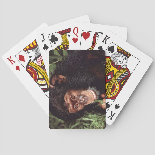 Chimpansee Spielkarten (Rückseite)