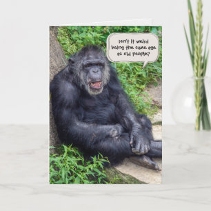 Chimpanzee Birthday Spaß Karte