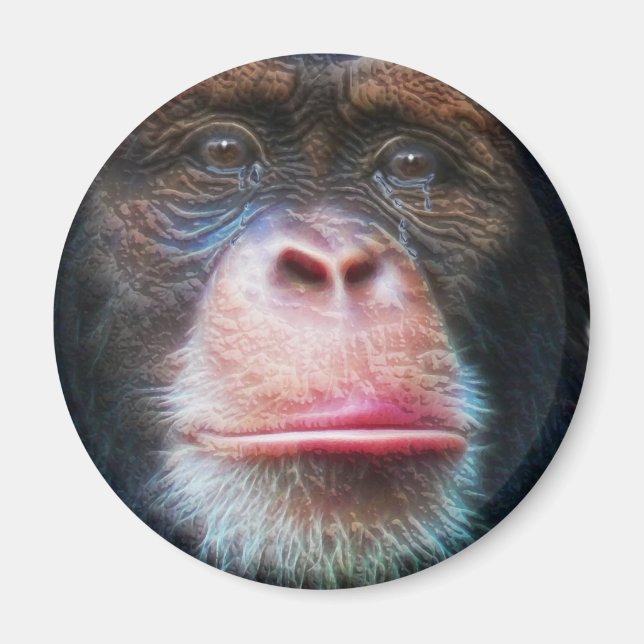CHIMPANZEE FACE Primat Wilhelm Tell Magnet (Vorne)