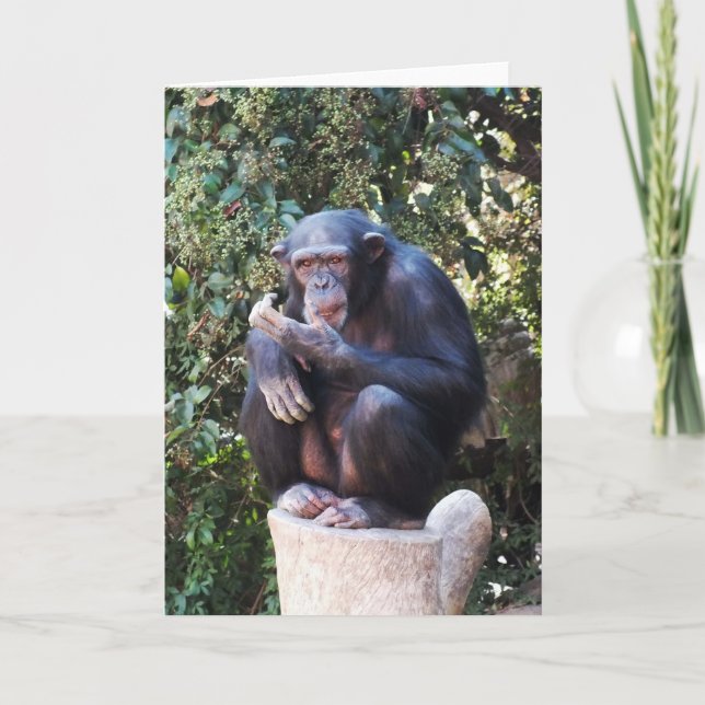 Chimpanzee Feiertagskarte (Vorderseite)
