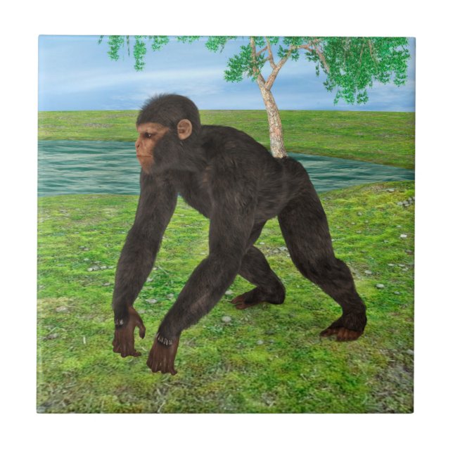 Chimpanzee Fliese (Vorderseite)