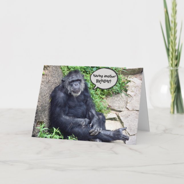 Chimpanzee Humore Birthday Karte (Vorderseite)
