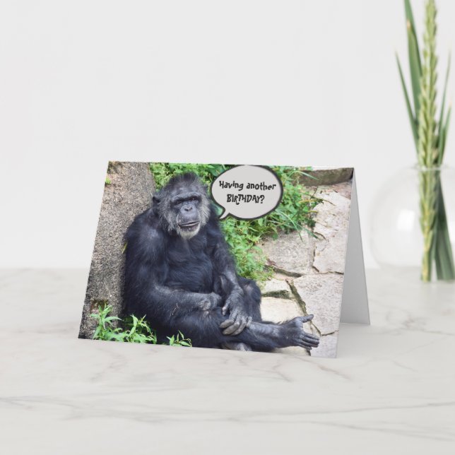 Chimpanzee Humore Birthday Karte (Vorderseite)