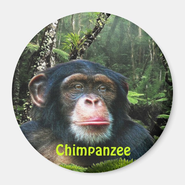 CHIMPANZEE & JUNGLE Primat Wilhelm Tell Magnet (Vorne)