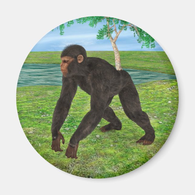 Chimpanzee Magnet (Vorne)