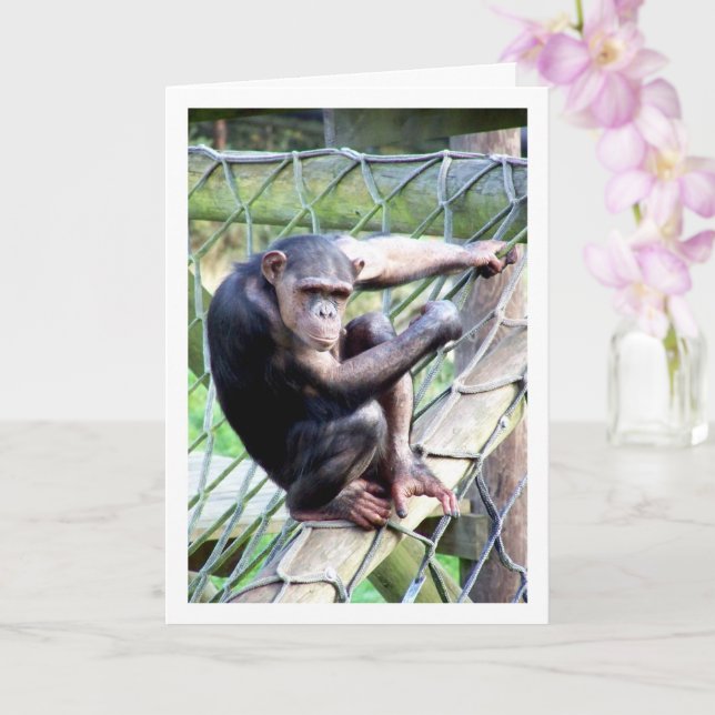 Chimpanzee Portrait Karte (Orchidee)