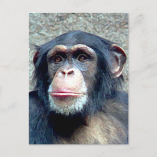 Chimpanzee Postkarte