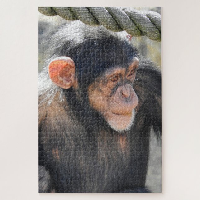 Chimpanzee Puzzle (Vertikal)