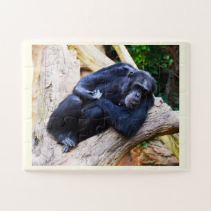 Chimpanzee Puzzle