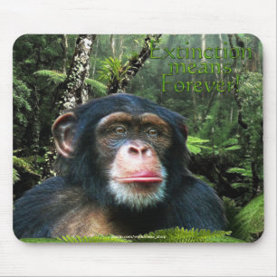Chimpanzee & Rainforest Wildlife support Mousepad