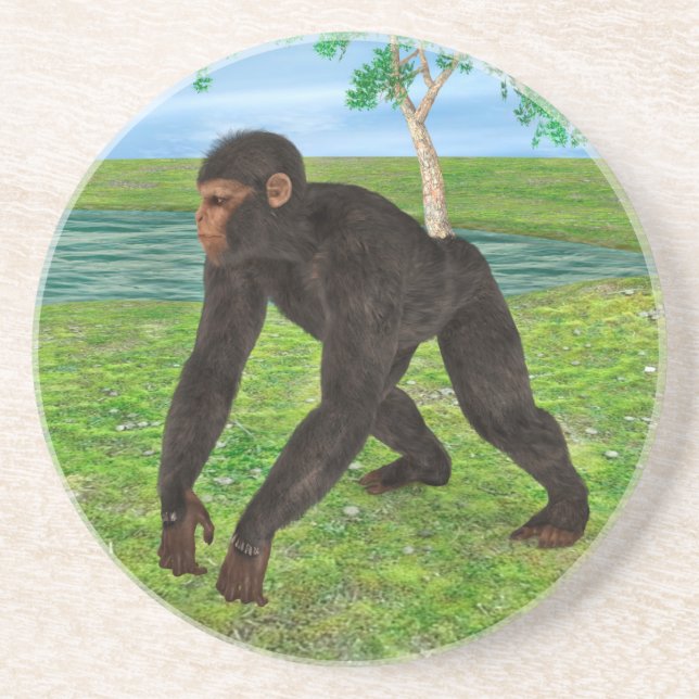 Chimpanzee Sandstein Untersetzer (Vorne)