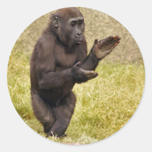 Chimpanzee Sticker