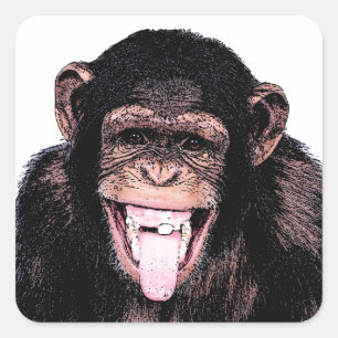 Chimpanzee Tongue Quadratischer Aufkleber