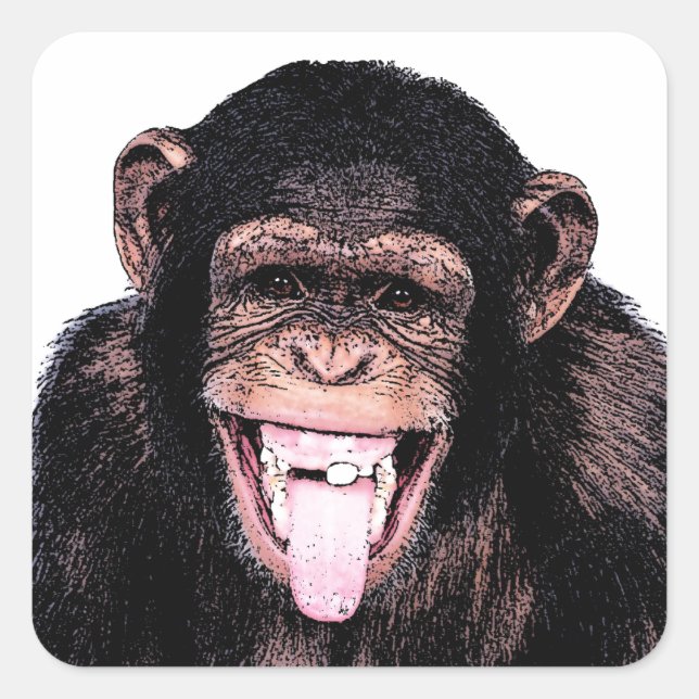 Chimpanzee Tongue Quadratischer Aufkleber (Vorderseite)
