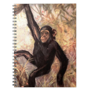 chimpanzeehangingintree002_original notizblock