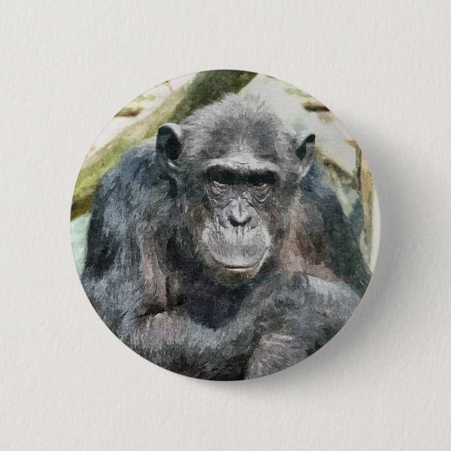 CHIMPANZEES BUTTON (Vorderseite)