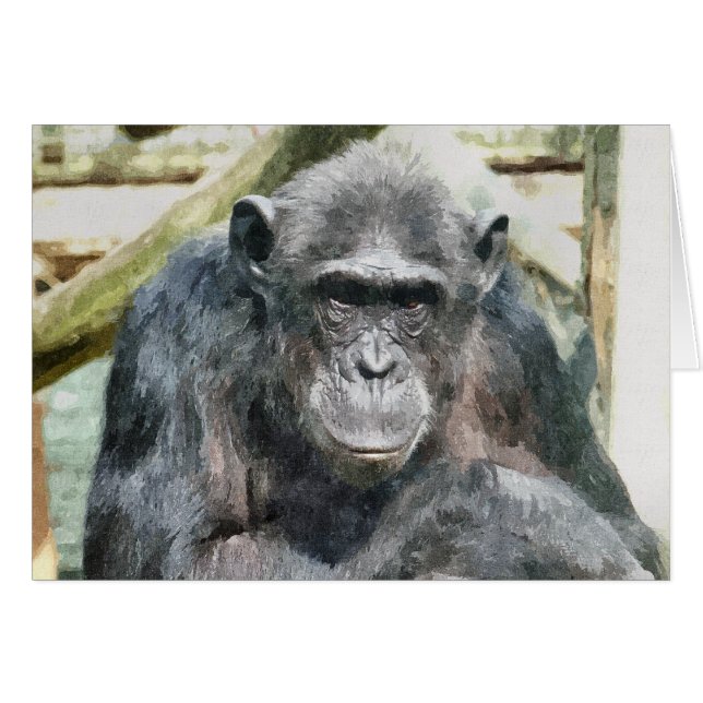 CHIMPANZEES Card (Vorderseite (Horizontal))
