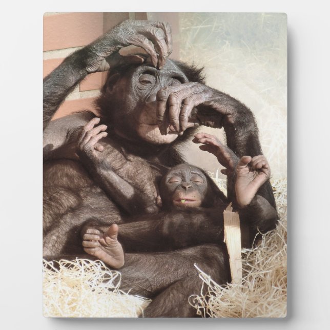 CHIMPANZEES FOTOPLATTE (Vorderseite)