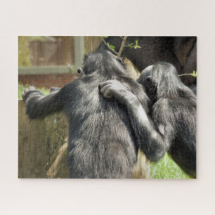 CHIMPANZEES PUZZLE