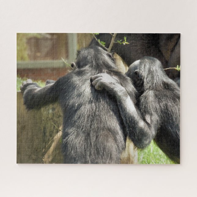 CHIMPANZEES PUZZLE (Horizontal)