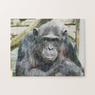 CHIMPANZEES PUZZLE