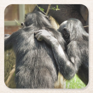 CHIMPANZEES RECHTECKIGER PAPPUNTERSETZER