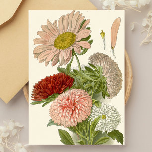 China Asters - Exquisite Vintage florale botanisch Postkarte