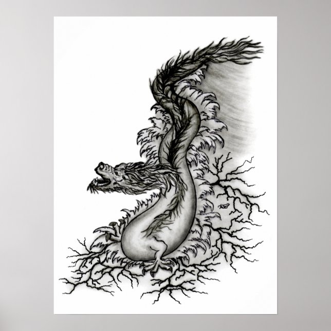 China-Drache Poster (Vorne)
