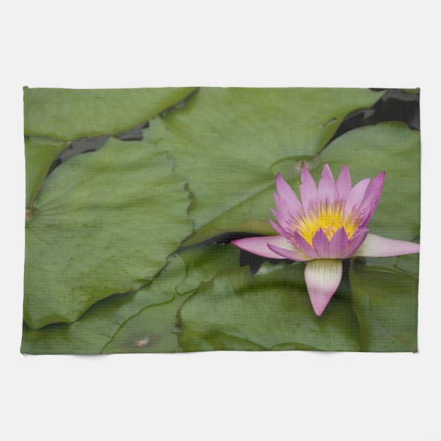 China, Hongkong, neue Gebiete. Chi Lin Küchentuch (Horizontal)