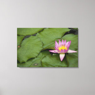 China, Hongkong, neue Gebiete. Chi Lin Leinwanddruck