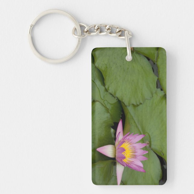 China, Hongkong, neue Gebiete. Chi Lin Schlüsselanhänger (Vorderseite)