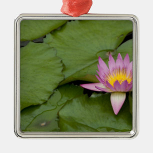 China, Hongkong, neue Gebiete. Chi Lin Silbernes Ornament