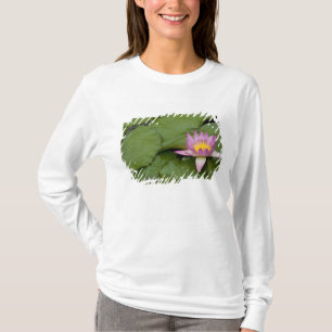 China, Hongkong, New Territories. Chi Lin T-Shirt