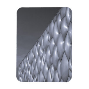 China, Peking. National Aquatics Centre Magnet