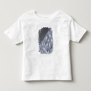 China, Peking. Nationales Aquatikzentrum Kleinkind T-shirt