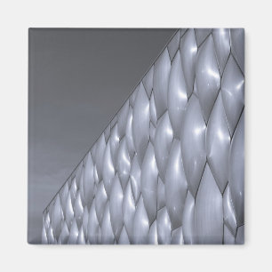 China, Peking. Nationales Aquatikzentrum Magnet
