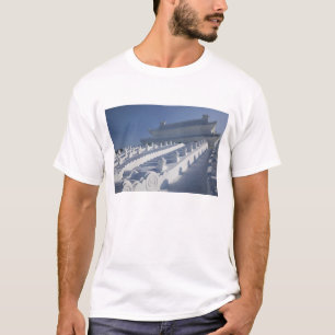 CHINA, Provinz Heilongjiang, Haerbin (Harbin). 2 T-Shirt