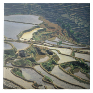 China, Provinz Yunnan. Überschwemmte Reisterrassen Fliese
