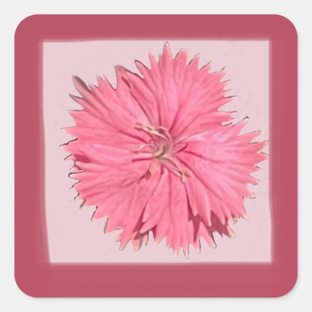 China Rosa Aufkleber (Vorderseite)
