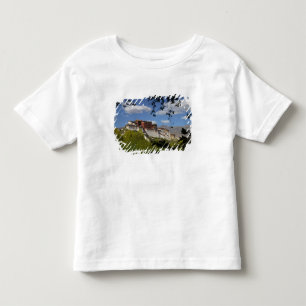 China, Tibet, Lhasa, Potala-Palast Kleinkind T-shirt