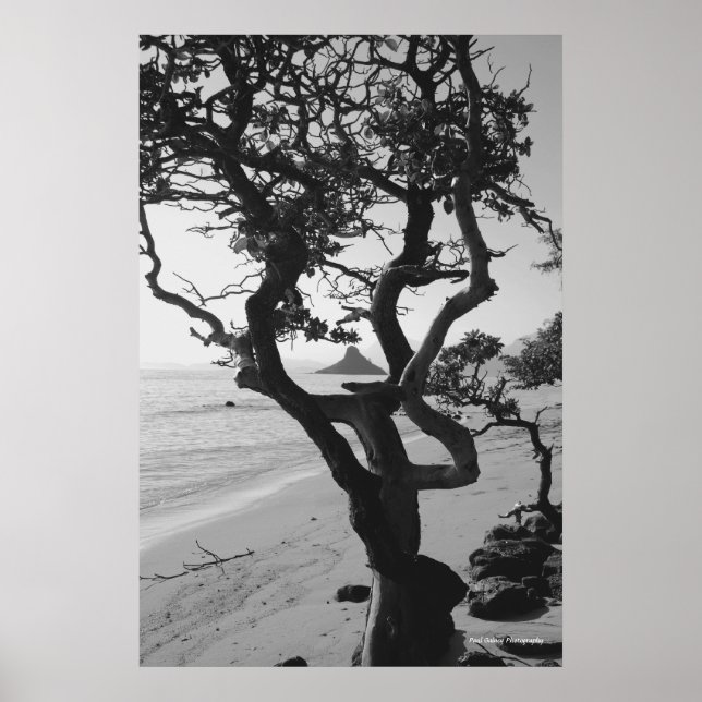 Chinaman-Hut Poster (Vorne)