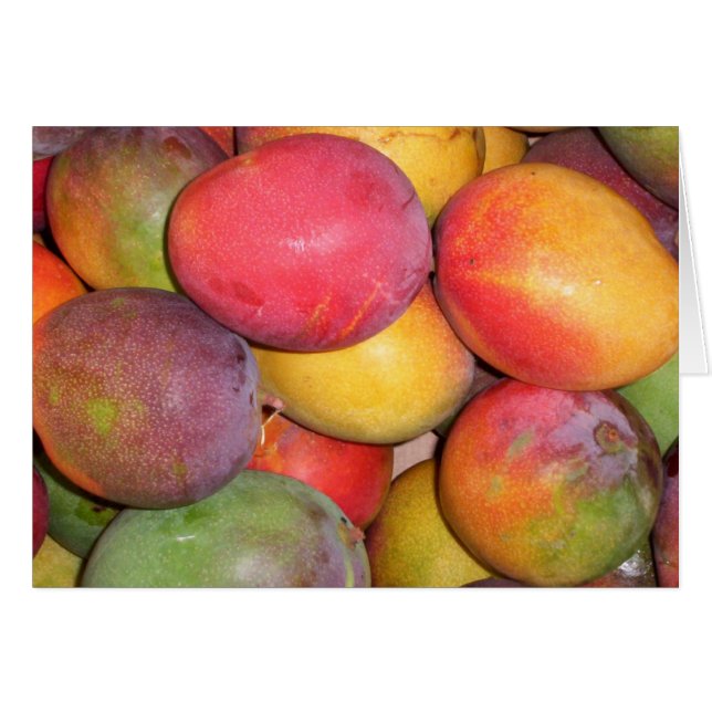 Chinatown Mangoes (Vorderseite (Horizontal))