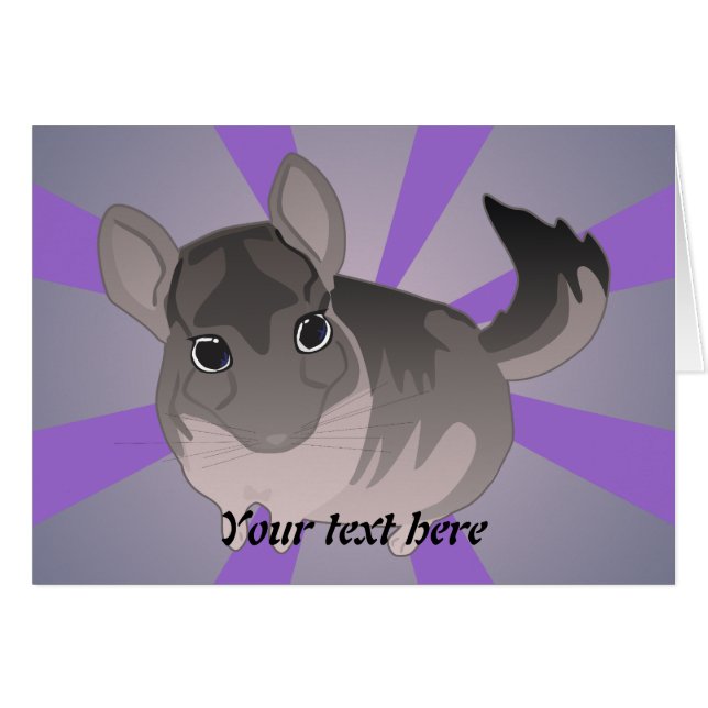 Chinchilla (Vorderseite (Horizontal))