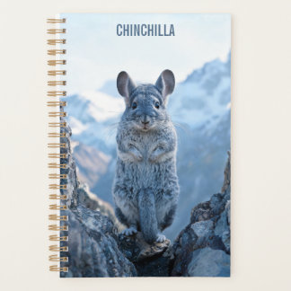 Chinchilla 2027 Planer