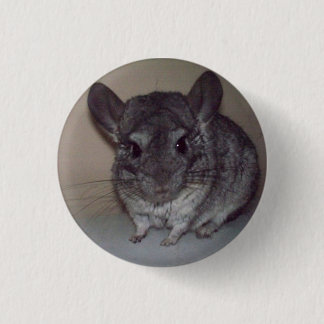Chinchilla Button