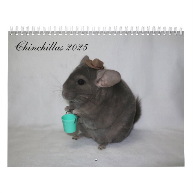 Chinchilla Calendar Kalender (Titelbild)