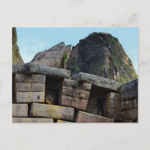 Chinchilla in Machu Picchu, Peru Postkarte